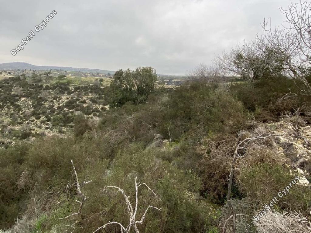 land for sale peyia paphos 1800886 image 15597584