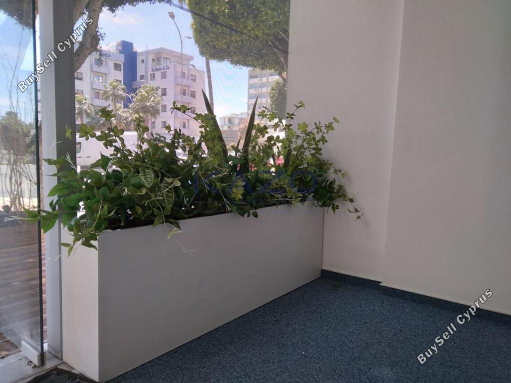 studio office for rent neapolis limassol 8902886 image 17375638