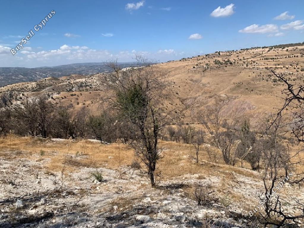 19733 SQM Land for sale in Pentalia, Paphos 15599449
