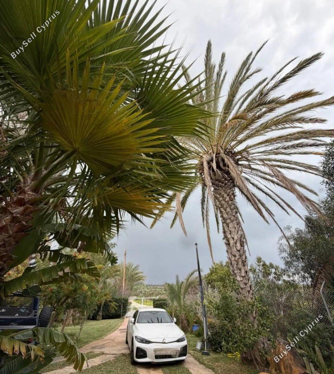 4 bedroom detached house for sale agios theodoros larnacas larnaca 8428986 image 14978713