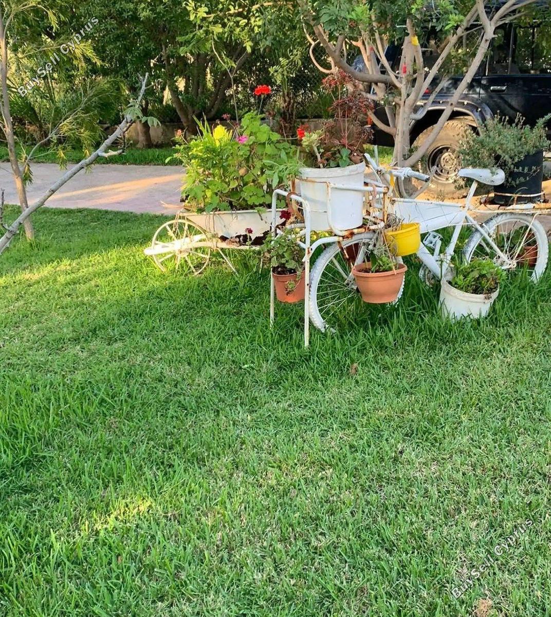4 bedroom detached house for sale agios theodoros larnacas larnaca 8428986 image 14978714