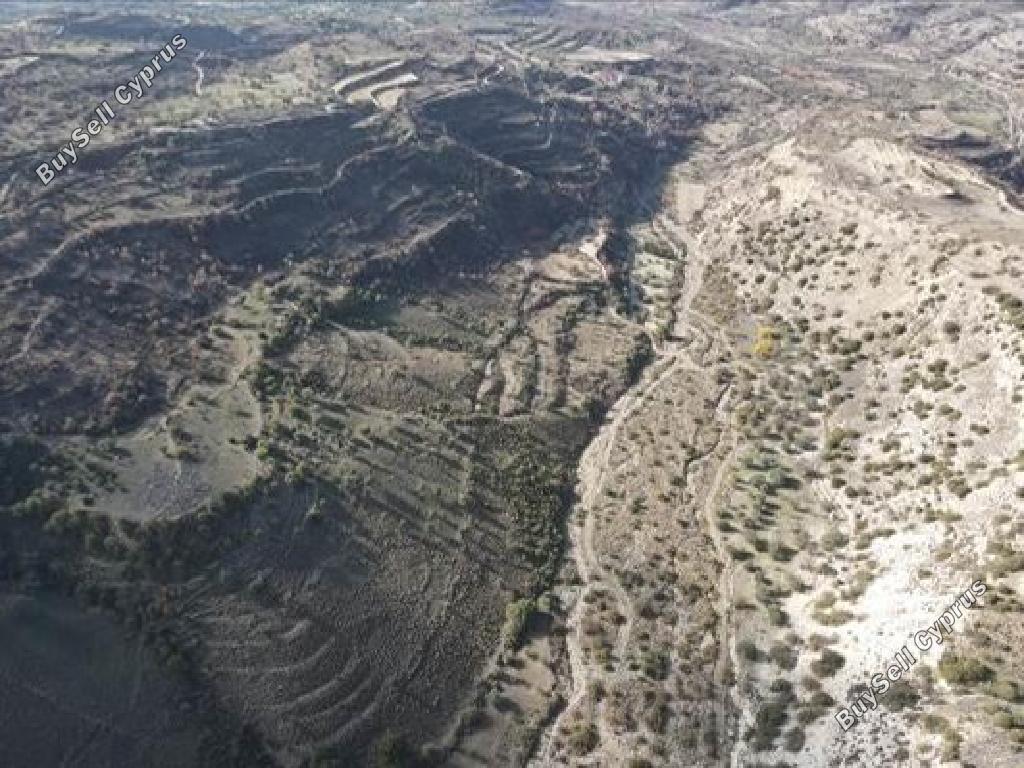 land for sale choulou paphos 1594986 image 17396917
