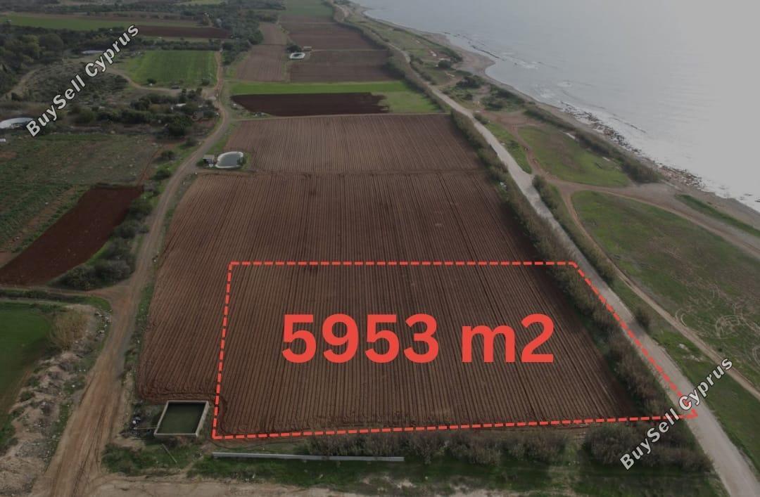 land for sale ormideia larnaca 8457986 image 15106306