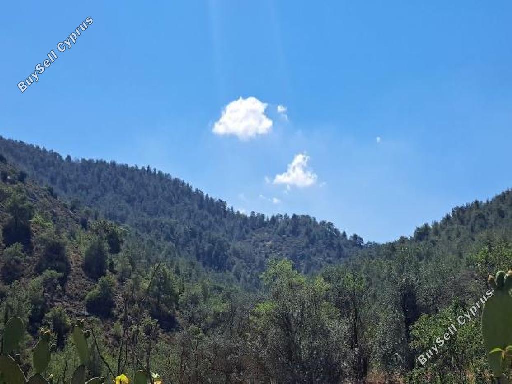 land for sale palaichori oreinis nicosia 1767986 image 4882255