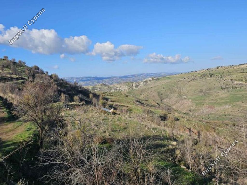land for sale pentalia paphos 945986 image 17343348