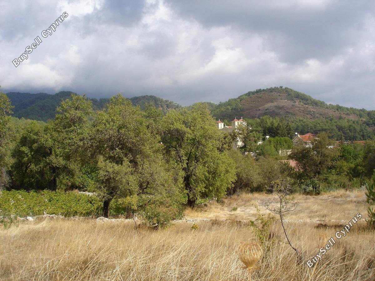 land for sale pera pedi limassol 926986 image 814118