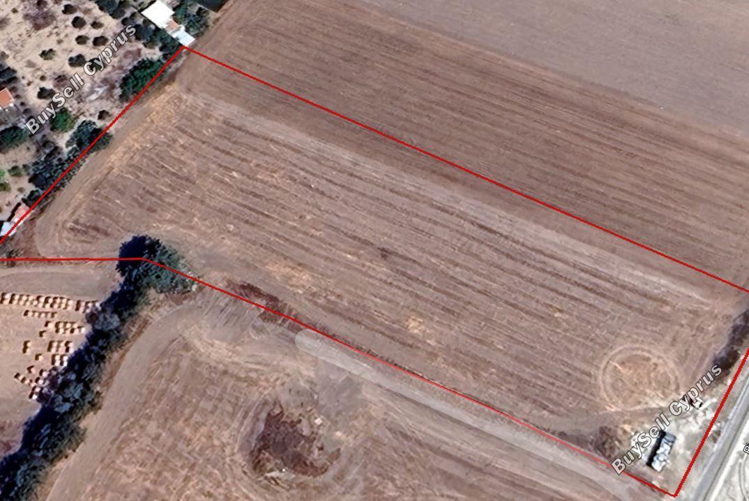 plot for sale geroskipou paphos 1680986 image 5168145