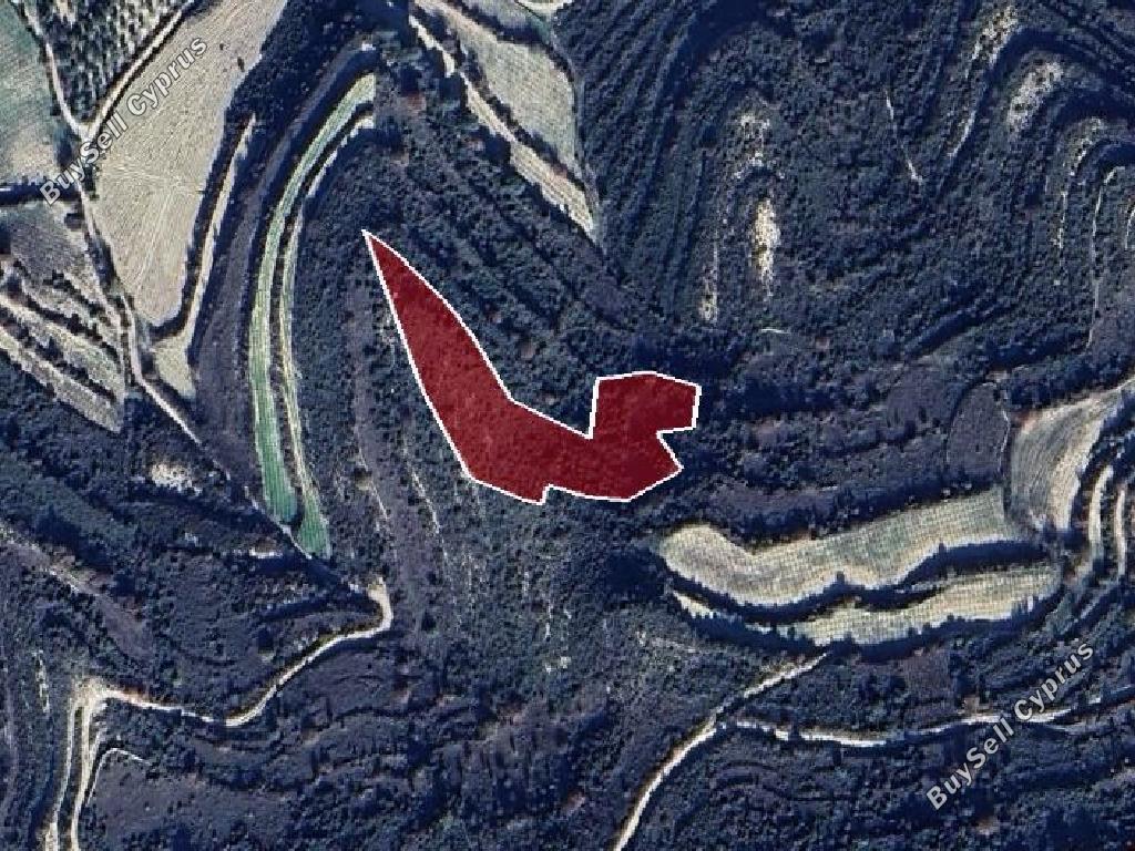 land for sale pachna limassol 1279096 image 15600353