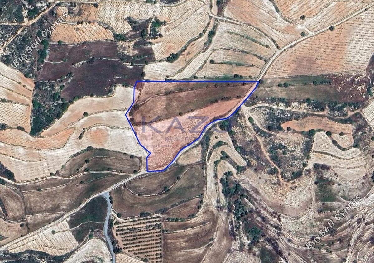 land for sale pachna limassol 7784096 image 10408802