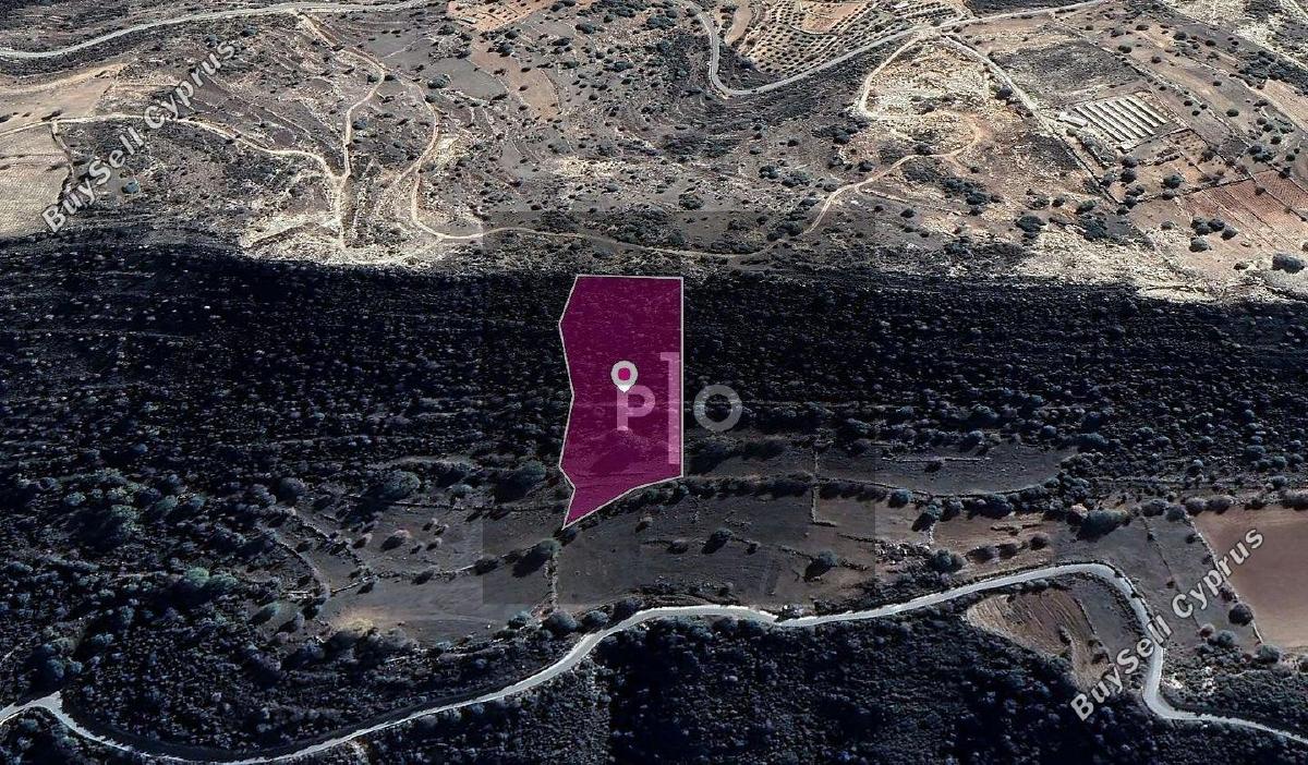 land for sale pachna limassol 8275096 image 15157475