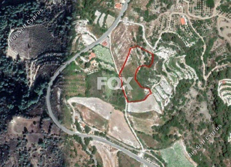 land for sale paphos municipality paphos 1159096 image 5517459
