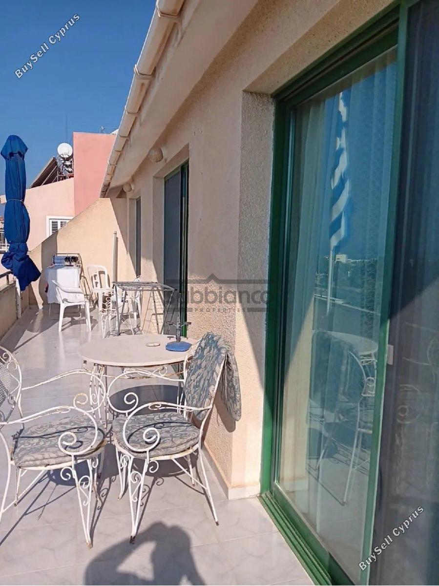 3 bedroom apartment for sale paphos municipality paphos 8745196 image 16429590
