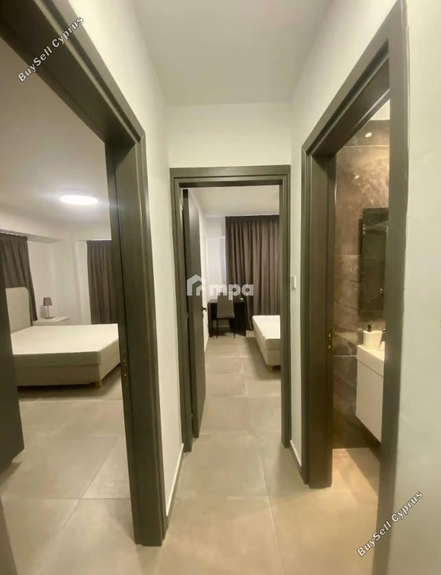 3 bedroom detached house for sale livadia larnacas larnaca 8277196 image 13997487