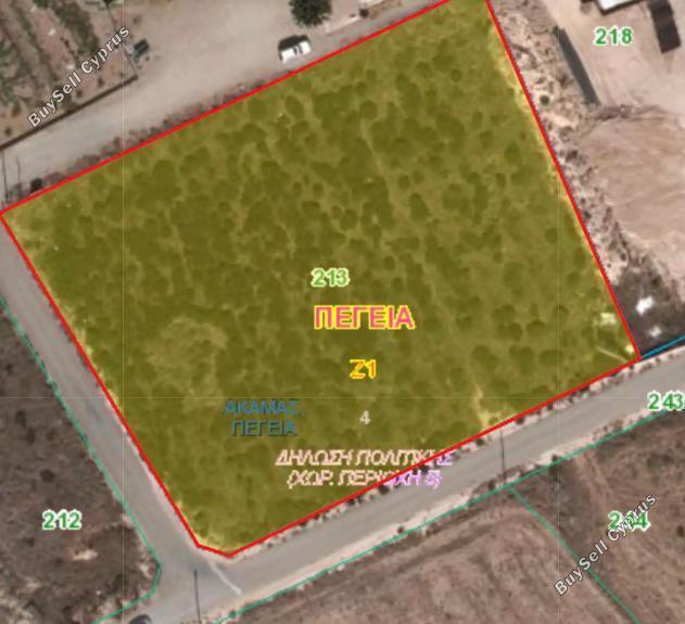 land for sale peyia paphos 1709196 image 4982344