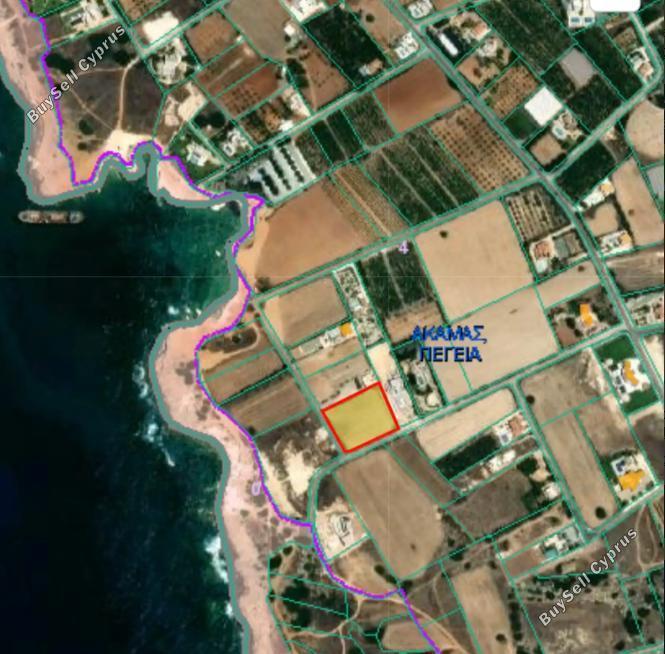 land for sale peyia paphos 1709196 image 4982345