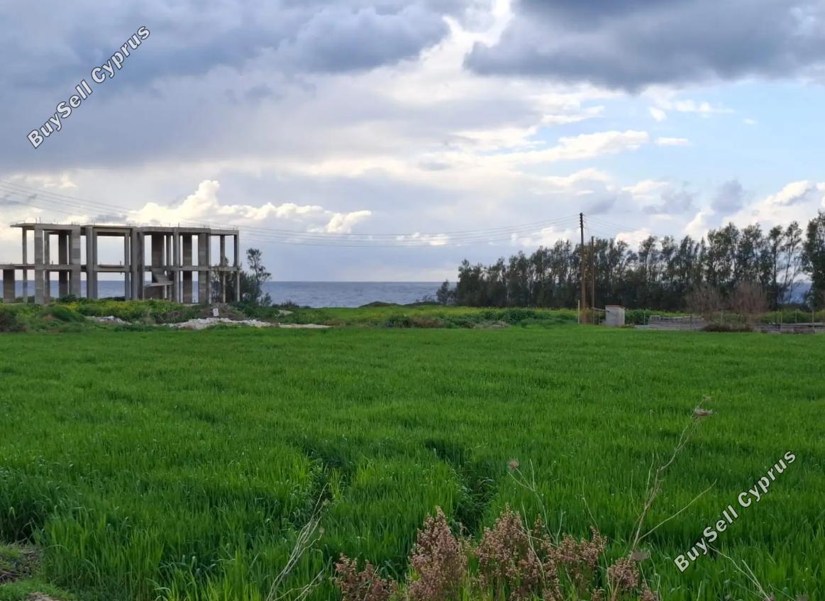 land for sale peyia paphos 1709196 image 4982348