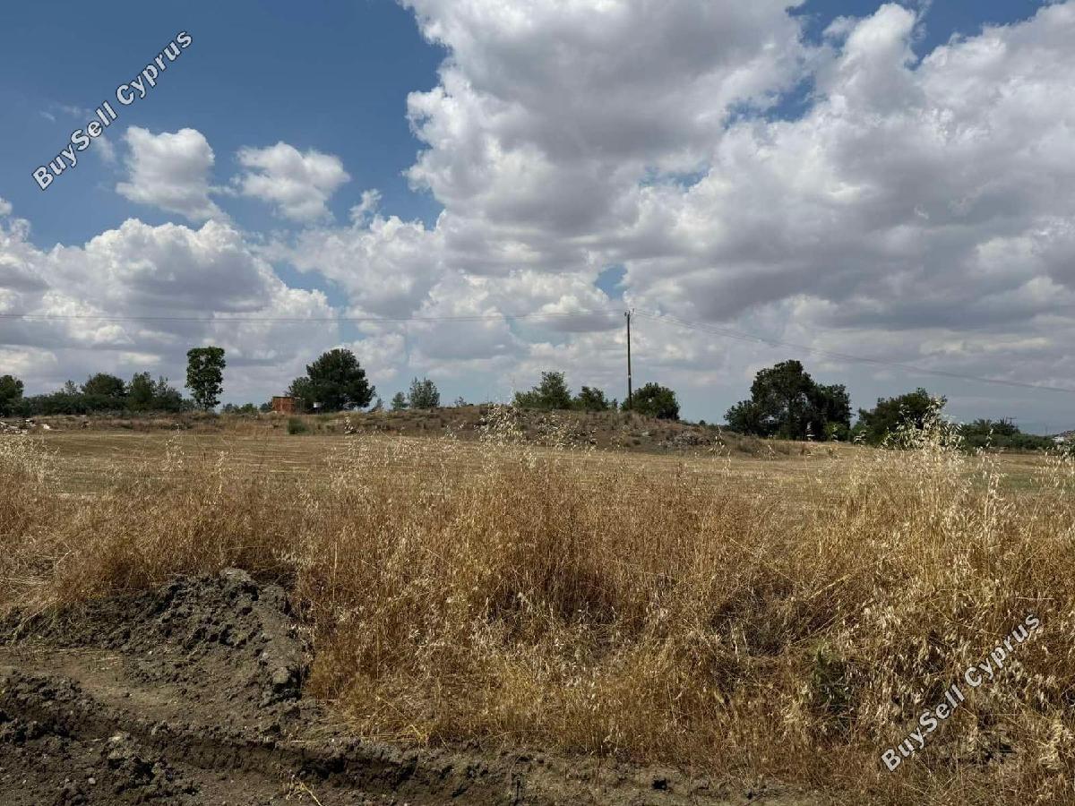 land for sale mathiatis nicosia 8705296 image 16249799