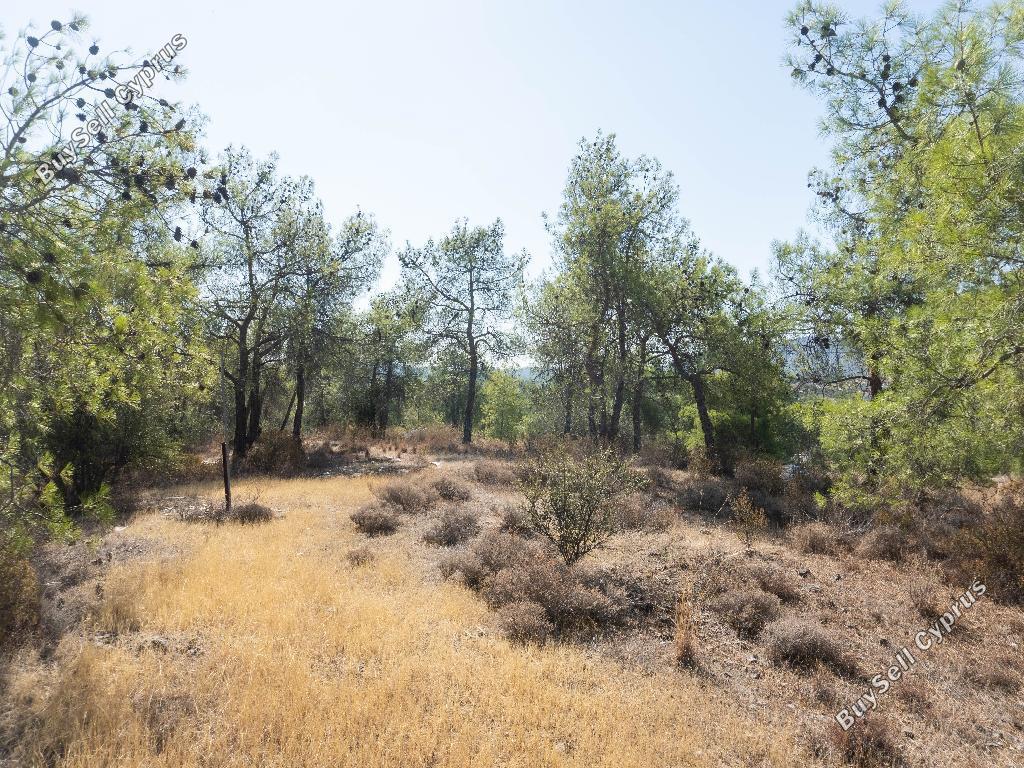 land for sale lythrodontas nicosia 8140396 image 16701351