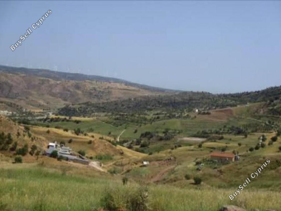 land for sale nata paphos 8630396 image 15873033