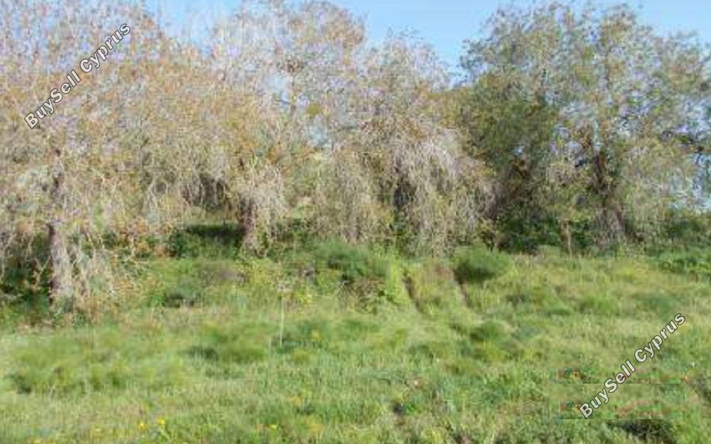land for sale tremithousa paphos 828396 image 15178155