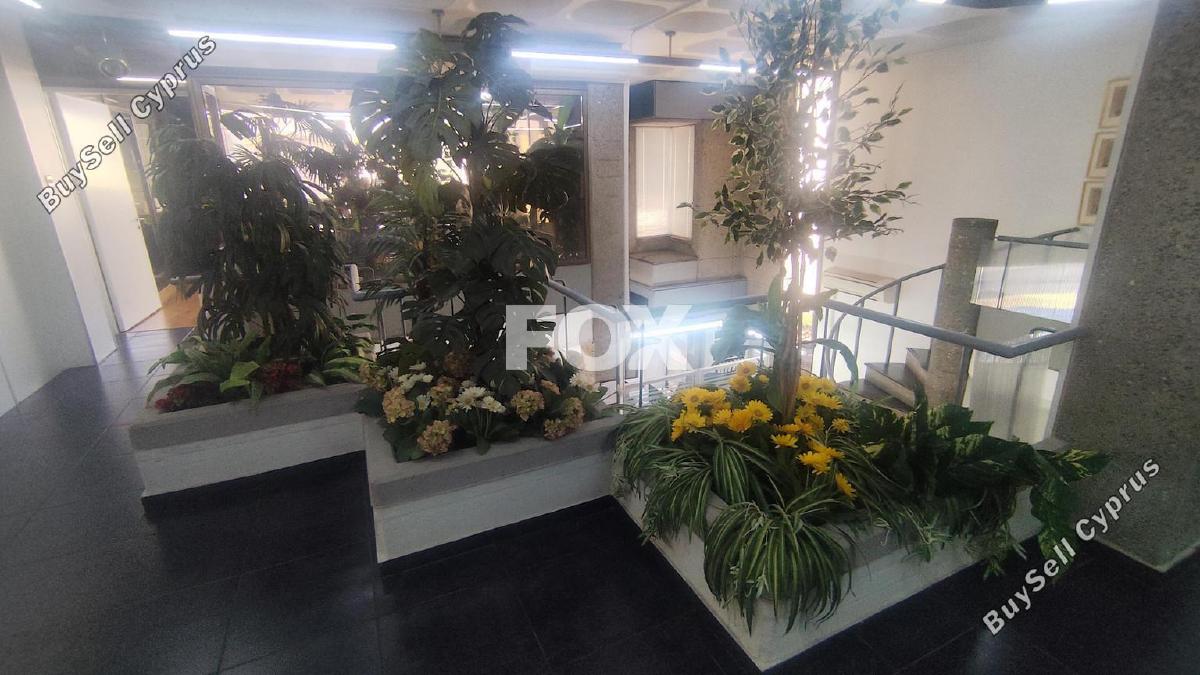 studio office for rent zakaki limassol 8798396 image 16715310