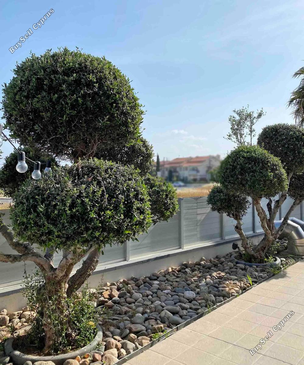 5 bedroom detached house for sale linopetra limassol 1675496 image 11437137