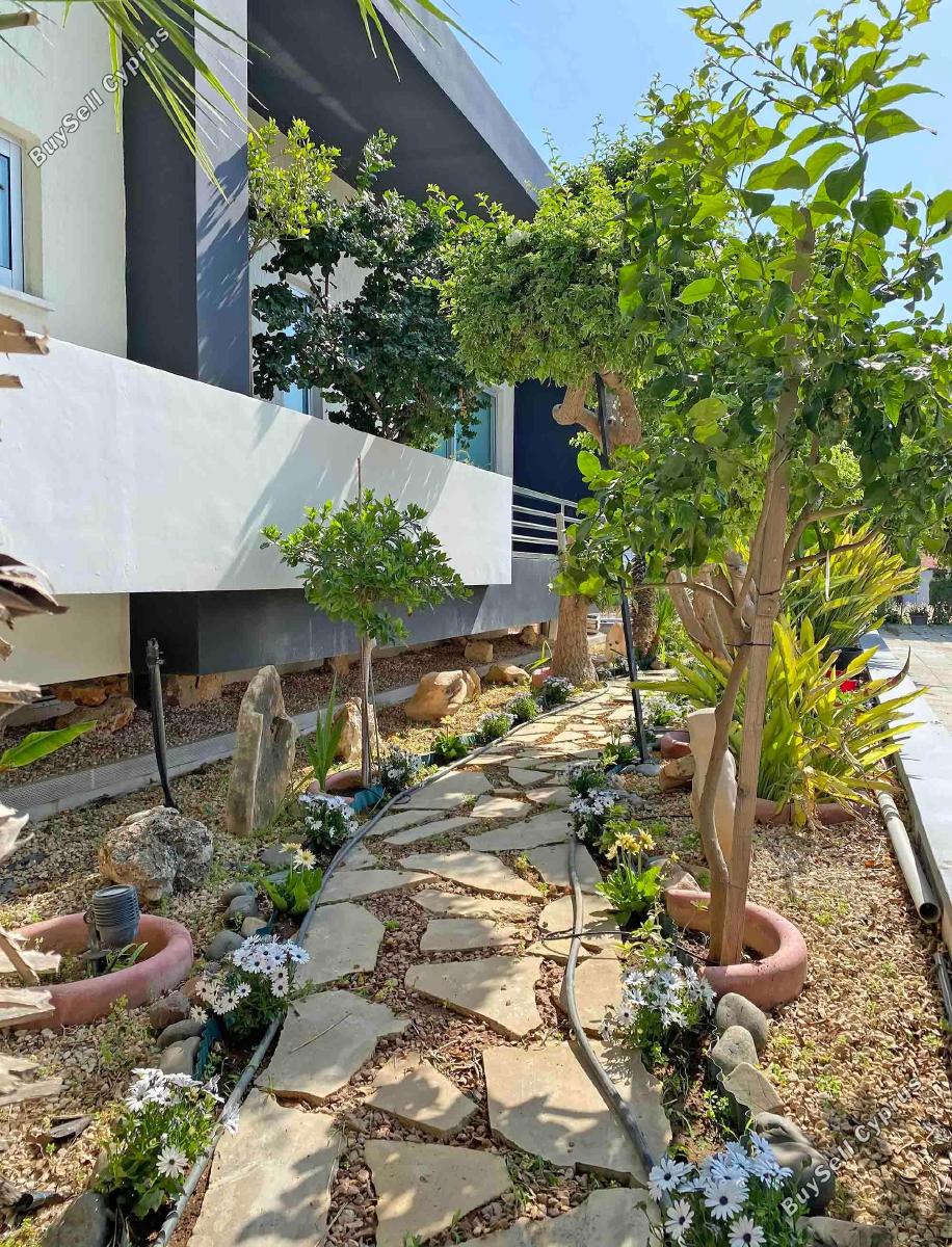 5 bedroom detached house for sale linopetra limassol 1675496 image 13228597