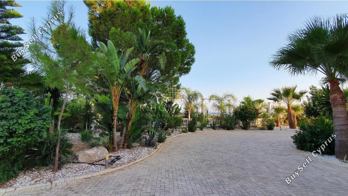 8 bedroom detached house for sale mazotos larnaca 8704496 image 16230918