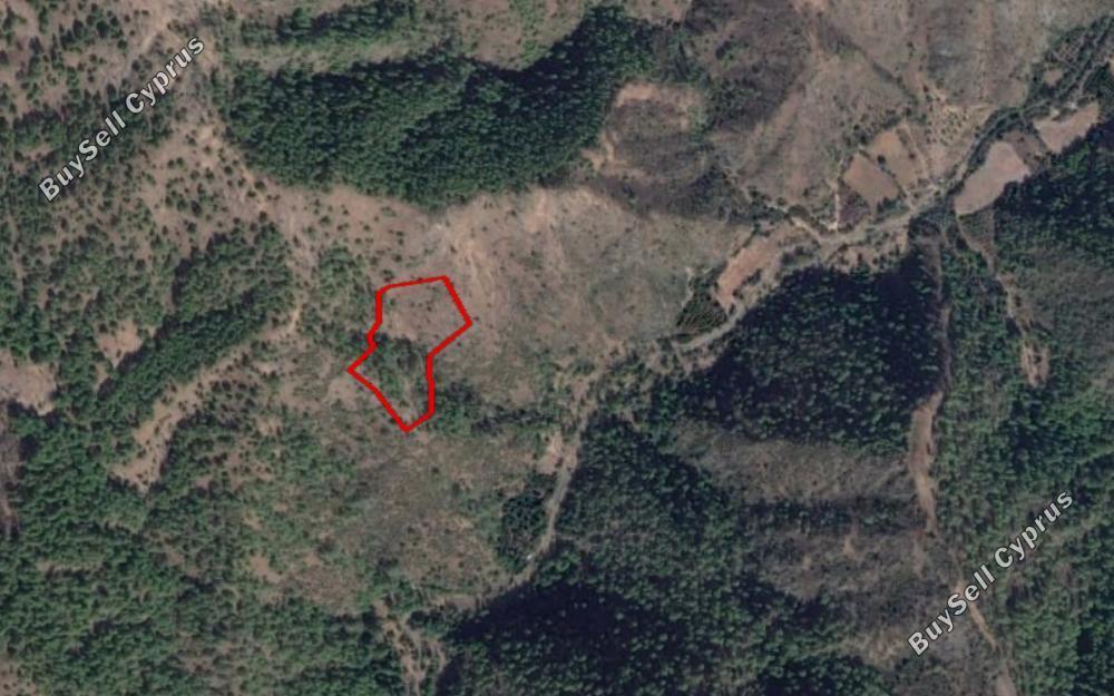 land for sale pigenia nicosia 829496 image 6570320