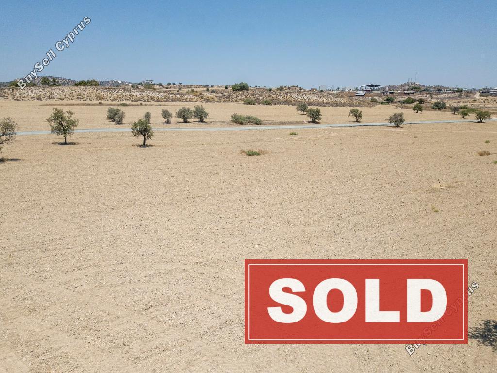 land sold anglisides larnaca 826496 image 10604015