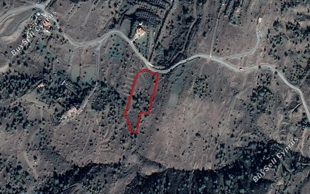 land for sale kapedes nicosia 972596 image 6570214