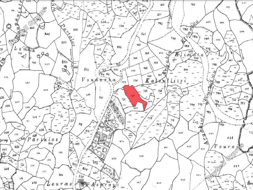 land for sale drousia paphos 954696 image 15599748