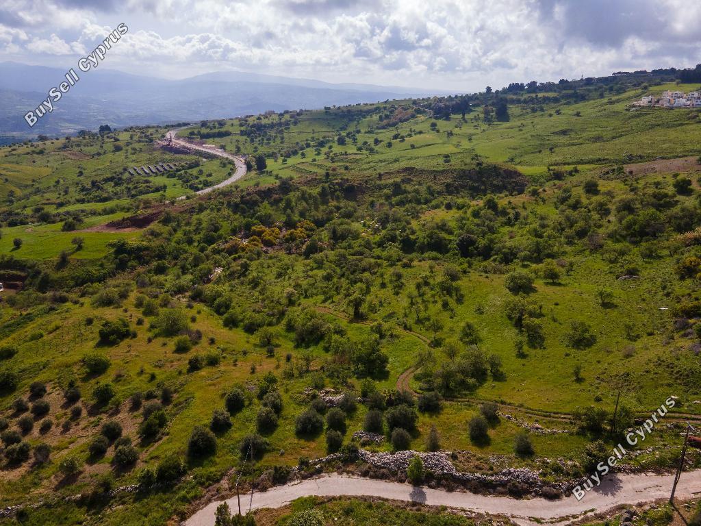 land for sale drousia paphos 954696 image 15599754