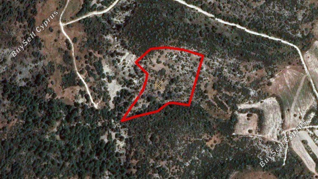 land for sale dora limassol 1194796 image 5570706