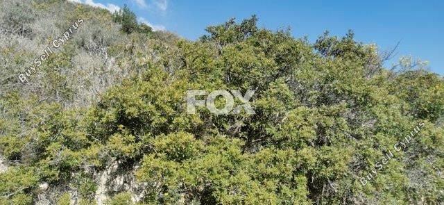 land for sale kapileio limassol 1293796 image 5587595