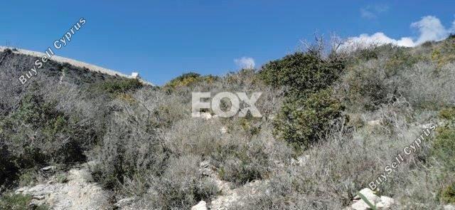 land for sale kapileio limassol 1293796 image 5587600