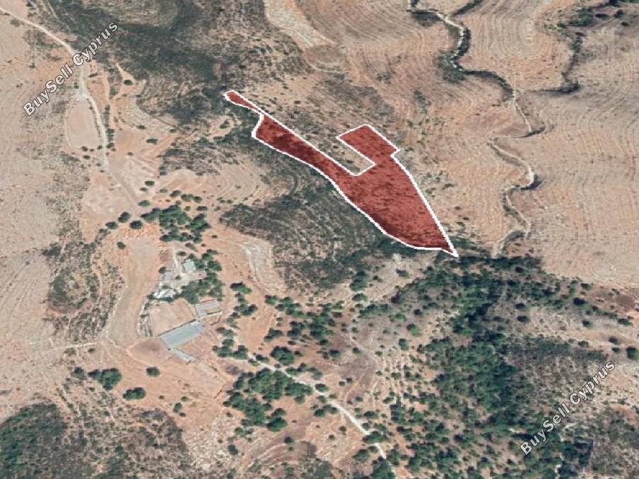 land for sale lofou limassol 8630796 image 15874135