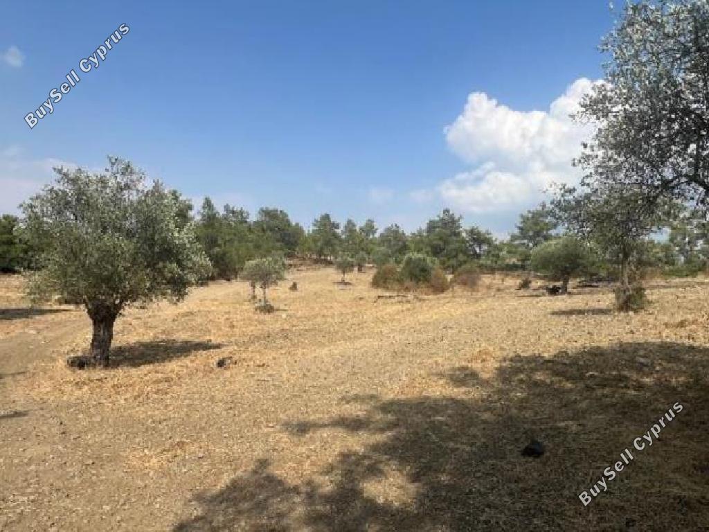 land for sale lythrodontas nicosia 8433896 image 15594748