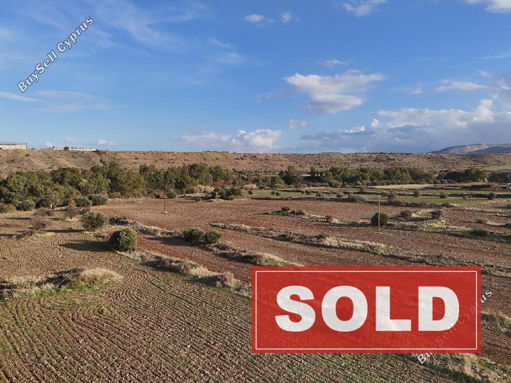 land sold orounta nicosia 945896 image 12836082