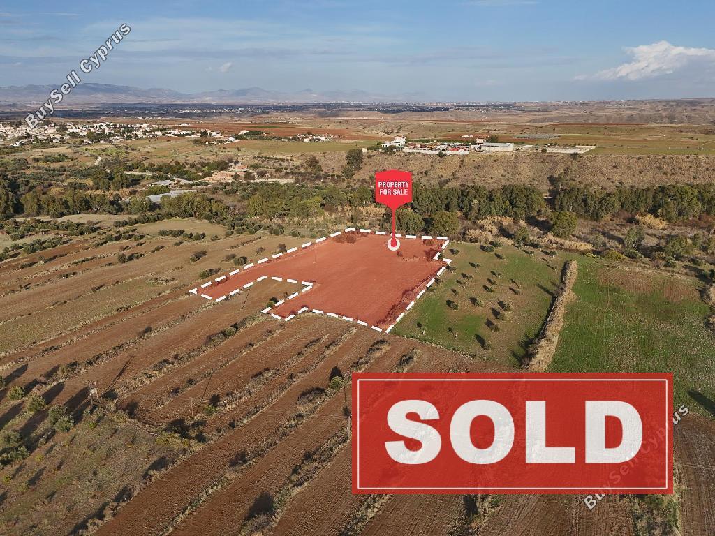 land sold orounta nicosia 945896 image 12836084