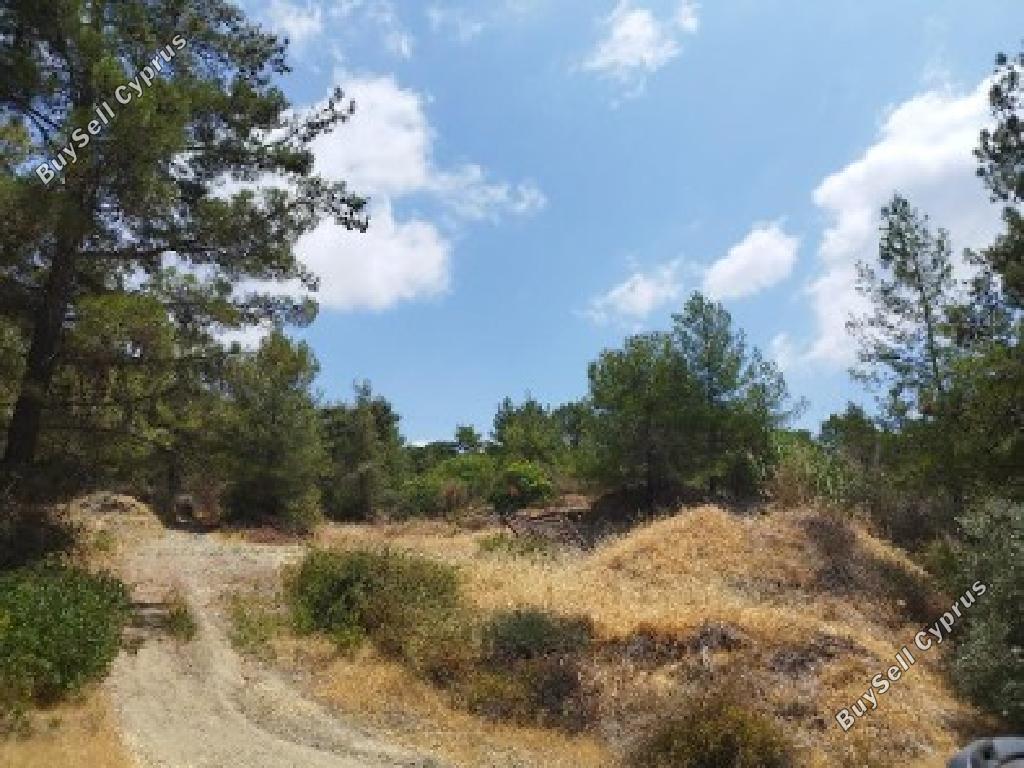 land for sale pera pedi limassol 899996 image 17159017