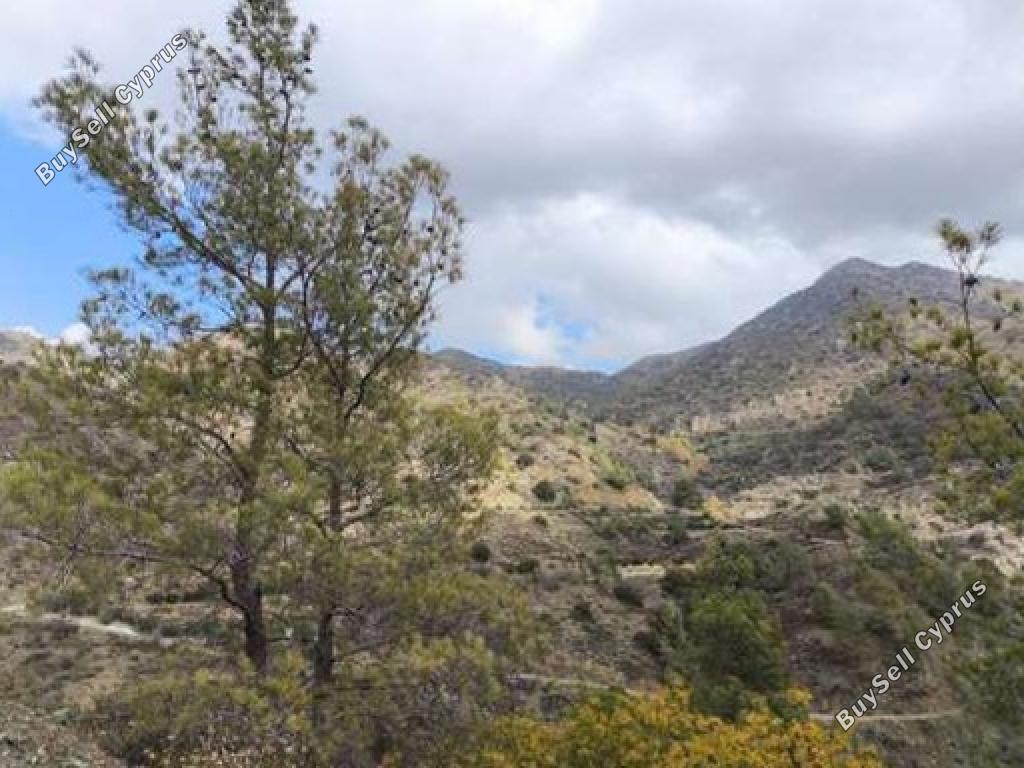 land for sale sykopetra limassol 1256996 image 17694505