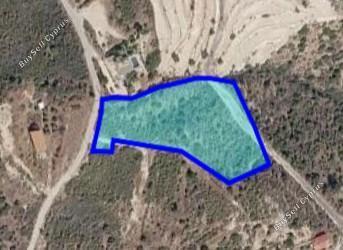 6689 SQM Land for sale in Akrounta, Limassol 15832015