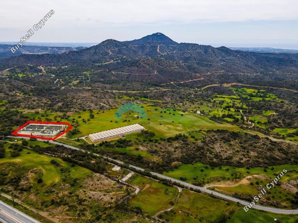 land for sale kornos larnaca 7714007 image 10063979