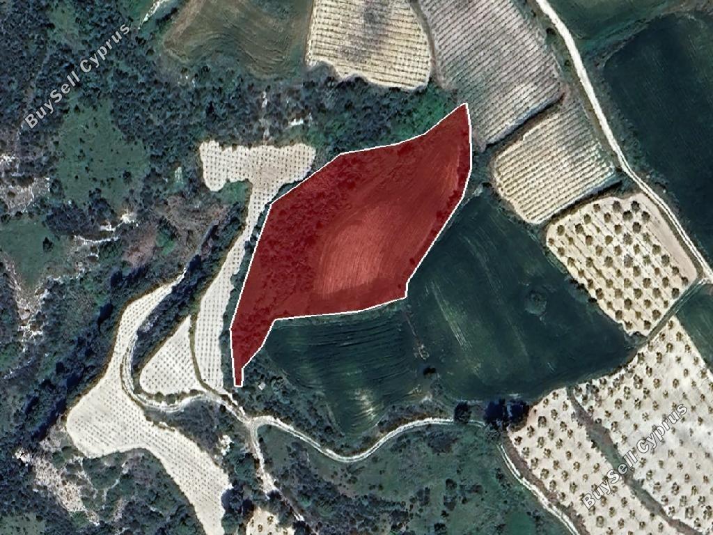land for sale stroumbi paphos 8665007 image 17011258