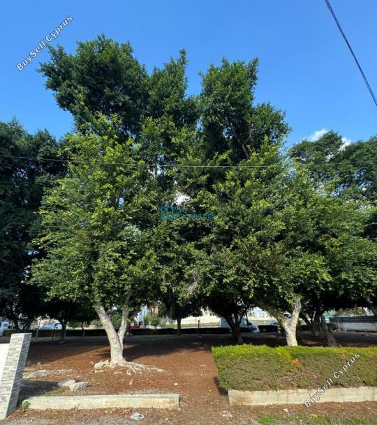 studio apartment building for sale sotiros agios ioannis larnaca larnaca 7940007 image 11309369