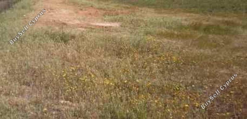 studio industrial park for sale ypsonas limassol 1062007 image 16193958