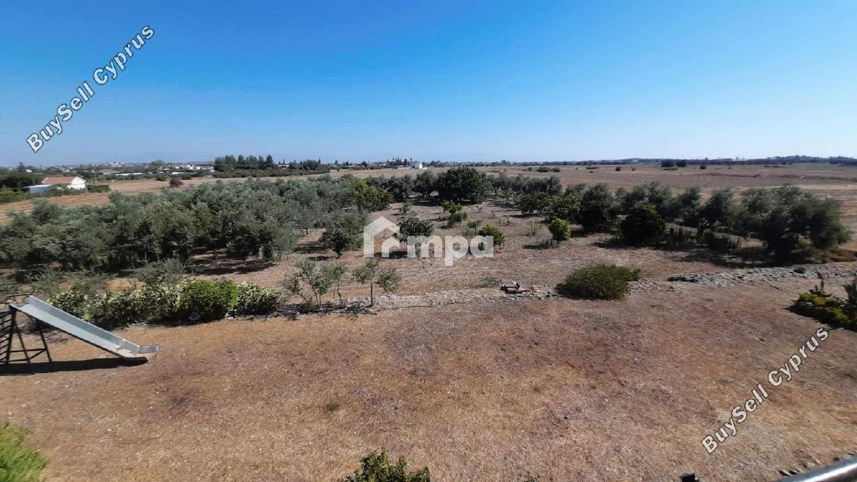 4 bedroom detached house for sale pera orinis nicosia 1730107 image 5554180