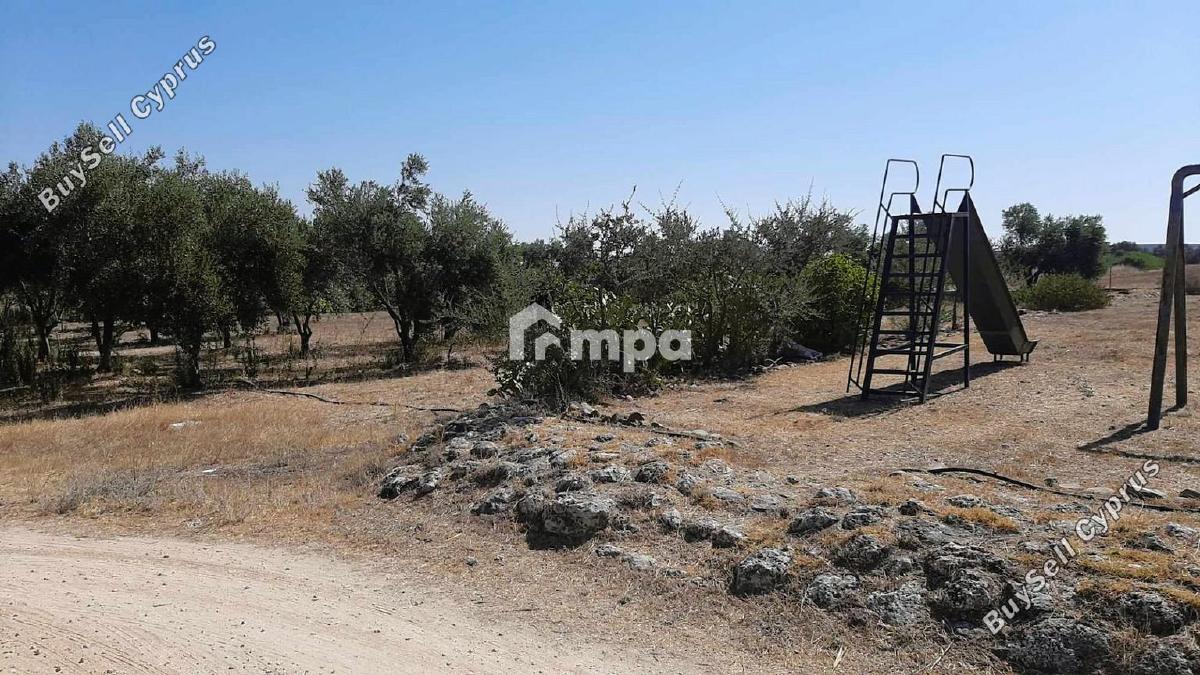 4 bedroom detached house for sale pera orinis nicosia 1730107 image 5554199
