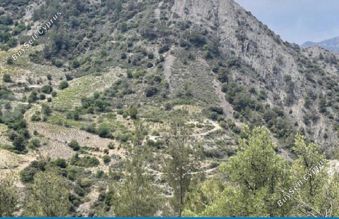 land for sale gourri nicosia 8112207 image 13267732